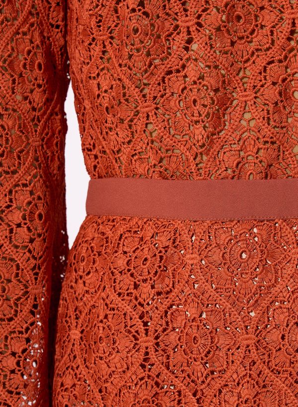 16112693_29_5-SAIA-SARA-ASTER