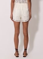 06040443_01_4-SHORTS-WAVES